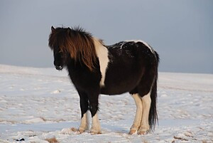isl kun