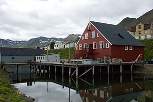 Roaldsbrakki